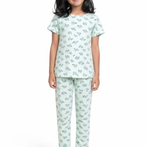 Tiny Turtle Lyocell Stretch Pajama Set